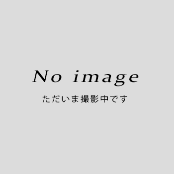 サロスシステム