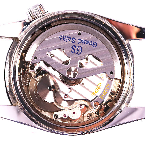 SBGE253３